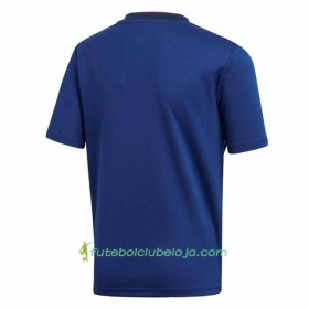 Camisola Japão Equipamento Principal World Cup 2018 Manga Curta
